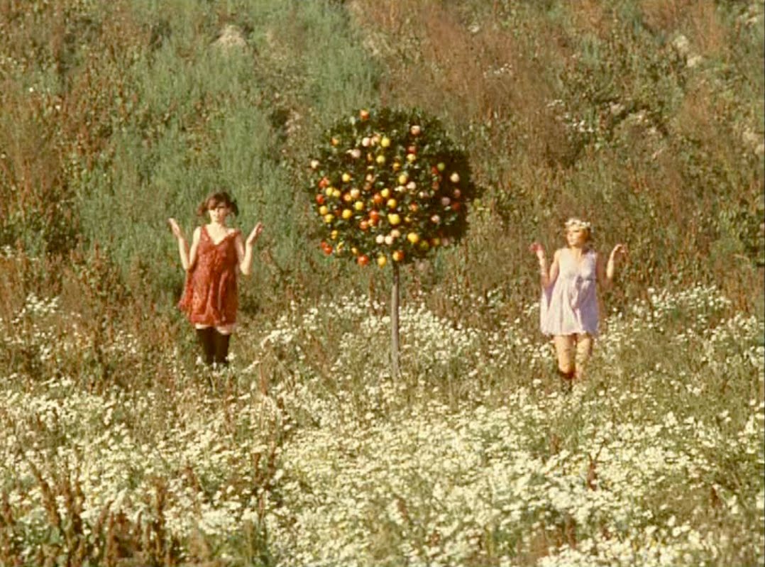 Věra Chytilová Daisies (1966) References.TV